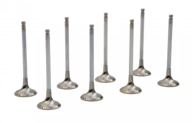 RCM Uprated Version 1-4 Exhaust Valve Set