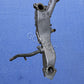 [USED] Subaru Impreza 96-99 GC8 GF8 GM8 WRX STI 22B Coolant Crossover Pipe 14050AA112 / 14050AA230