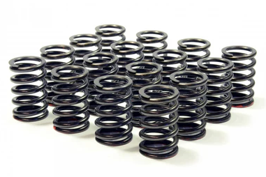RCM V5/6 Uprated Valve Springs
